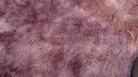 valery carter01 online show from 02.03.26