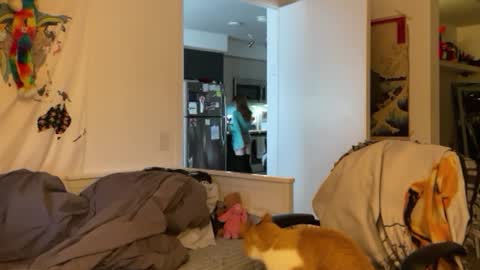 Snapshot of vanessapark chatting on 01.04.25 Vanessa online show from 01.04.25