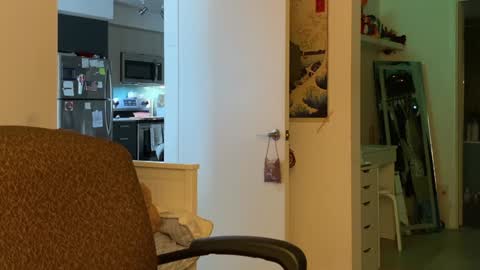 Snapshot of vanessapark chatting on 01.05.25 Vanessa online show from 01.05.25