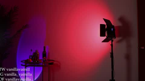 Snapshot of vanilla_velvet chatting on 12.30.24 Annabet online show from 12.30.24