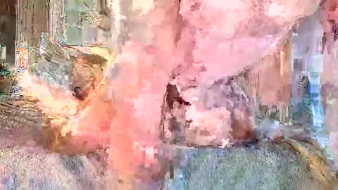 vanillasnackpack007 online show from 02.03.26