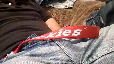 Vanyllaice online show from 01.18.26