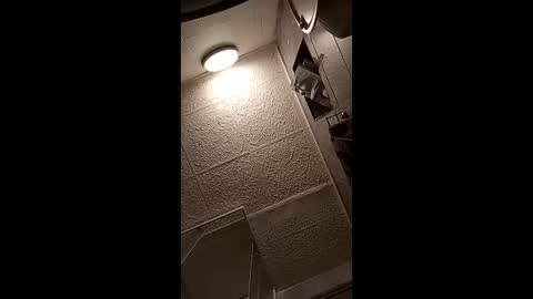 vasi06 online show from 04.12.26