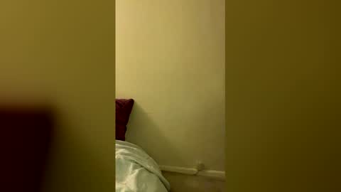 Snapshot of vaultslut111 chatting on 04.16.26 Vault Slut 111 online show from 04.16.26