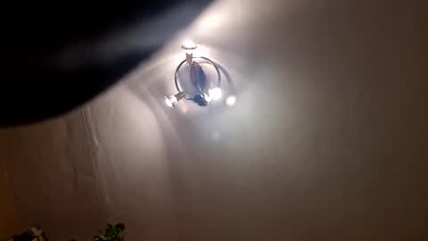 Snapshot of vedierko3 chatting on 12.31.24 vedierko3 online show from 12.31.24