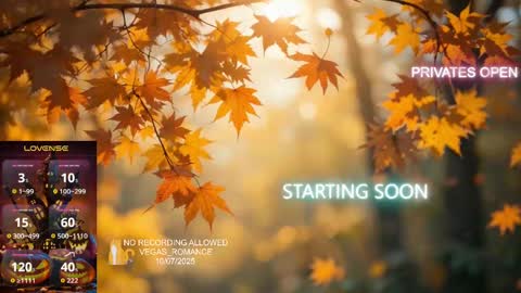 vegas_romance online show from 10.08.25