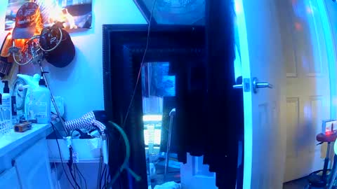 Snapshot of vegasmd chatting on 03.12.25 vegasmd online show from 03.12.25