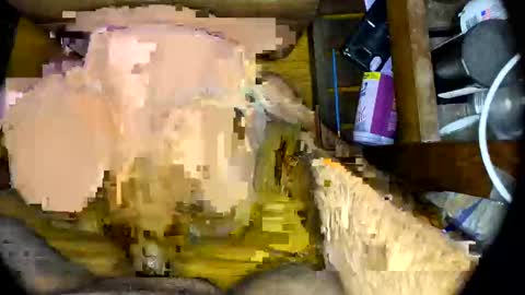 Snapshot of vegujo chatting on 02.07.25 vegujo online show from 02.07.25