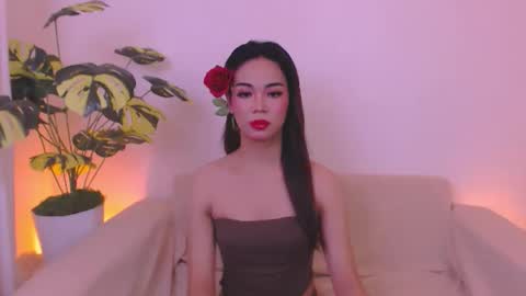 Velvet online show from 05.30.26