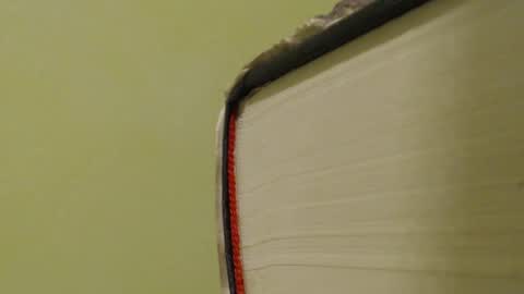 vendi1 online show from 01.14.25