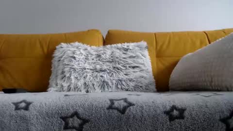 vendi1 online show from 02.24.26