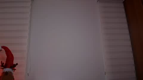 Snapshot of venus_leroy chatting on 12.21.24 Venus online show from 12.21.24