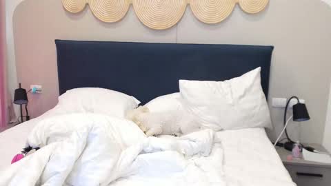 Violetta  online show from 12.02.25