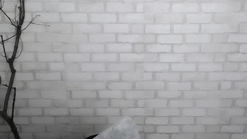 Ana online show from 12.28.24