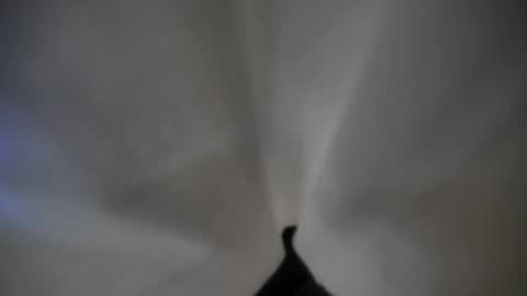 Veydop online show from 09.12.25