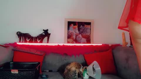 Snapshot of vicky_gill_ chatting on 10.14.25 vicky_gill_ online show from 10.14.25