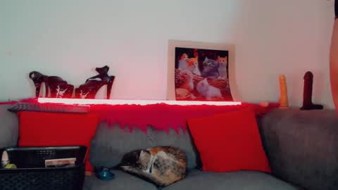 Snapshot of vicky_gill_ chatting on 10.17.25 vicky_gill_ online show from 10.17.25