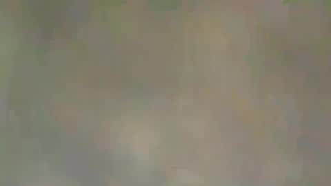 Snapshot of viennaguy79 chatting on 03.03.26 viennaguy79 online show from 03.03.26