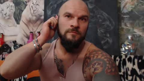 viking online show from 12.01.24
