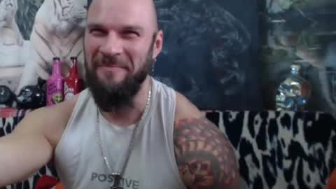 viking online show from 12.08.24