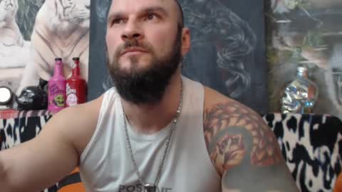 viking online show from 12.08.24