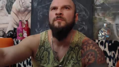 viking online show from 12.10.24