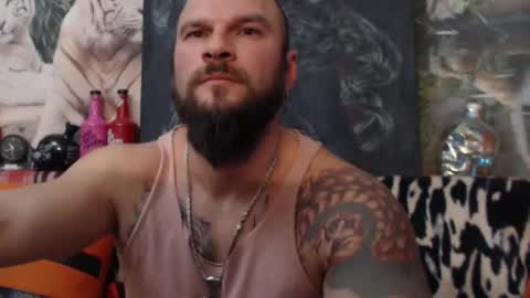 viking online show from 12.12.24