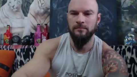 viking online show from 12.28.24