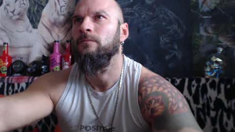 viking online show from 12.31.24