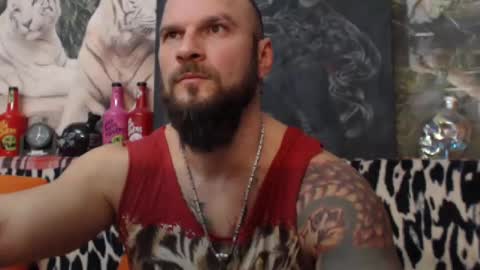 viking online show from 01.01.25
