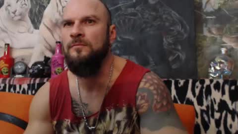 viking online show from 01.01.25