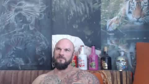 viking online show from 09.19.25