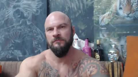 viking online show from 09.19.25