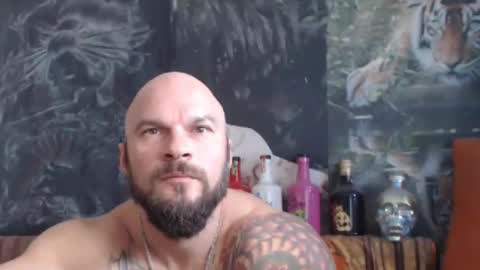 viking online show from 10.24.25