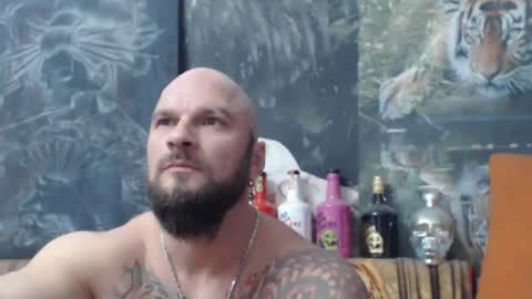 viking online show from 11.17.25