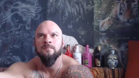 viking online show from 11.20.25