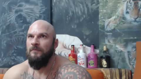 viking online show from 11.28.25