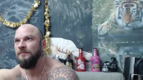 viking online show from 02.19.26