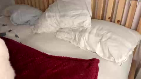 Snapshot of vince_hotgr chatting on 02.01.25 Vince online show from 02.01.25