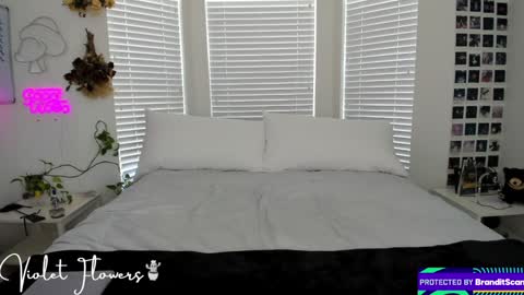 Violet Flowers online show from 09.08.25