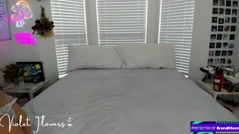 Violet Flowers online show from 04.08.26