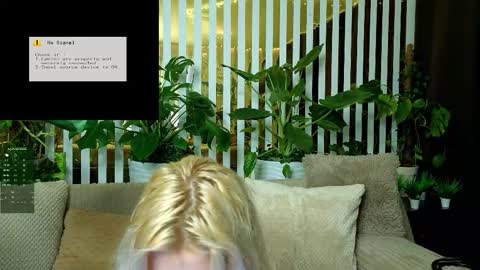 Violetta online show from 01.18.26