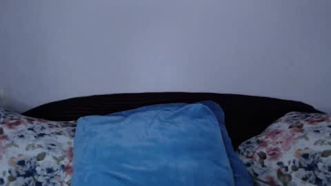 Snapshot of vitalina_freedom chatting on 01.08.25 Vitalina online show from 01.08.25