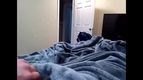 Snapshot of vladedivac1998 chatting on 02.20.26 vladedivac1998 online show from 02.20.26