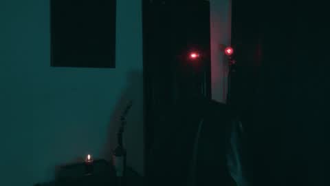 Snapshot of vortexspecter chatting on 01.11.26 vortexspecter online show from 01.11.26