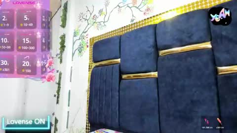Snapshot of vskayper chatting on 10.26.25 skay online show from 10.26.25