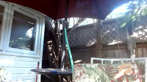 Snapshot of vtcd chatting on 02.06.25 vtcd online show from 02.06.25