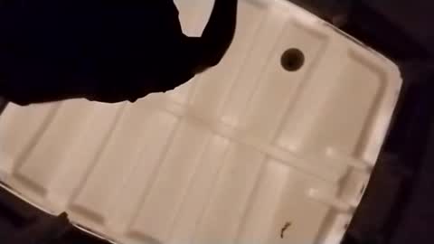 waffywaff77 online show from 12.04.25