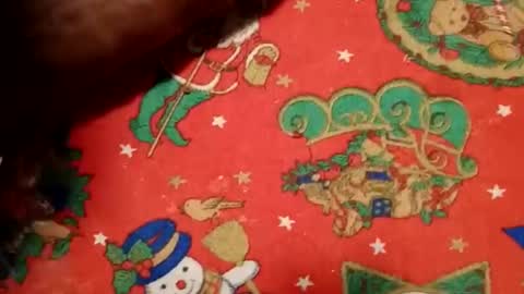 ghhhgh online show from 12.11.24