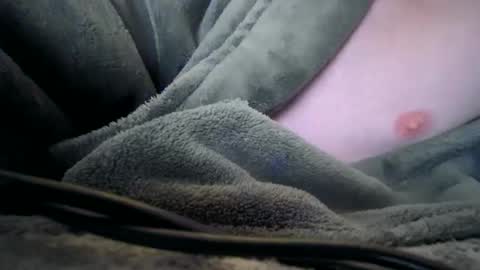 wallsend74 online show from 01.07.26